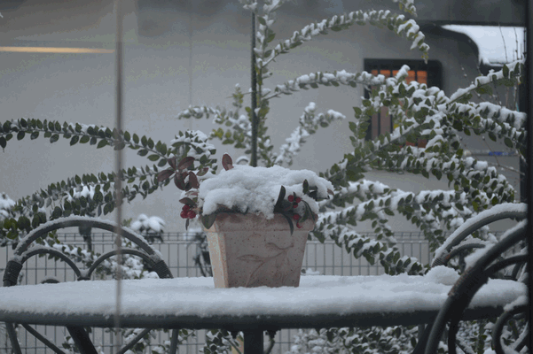c0136736_15191464.gif