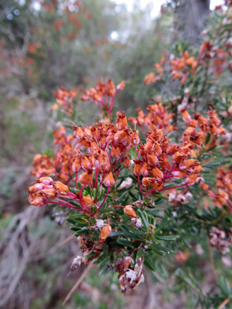 f0234936_7263930.jpg