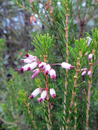 f0234936_7273130.jpg