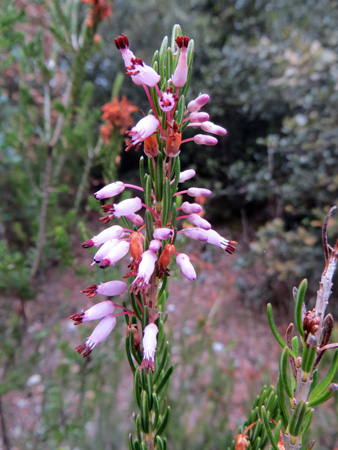 f0234936_7275121.jpg