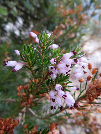 f0234936_7282586.jpg