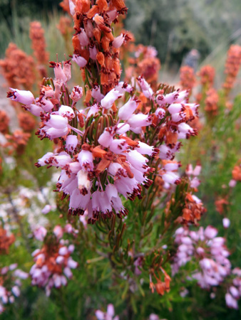f0234936_7284119.jpg