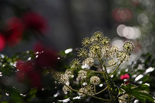 a0242438_20534922.jpg