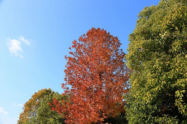 a0242438_205499.jpg
