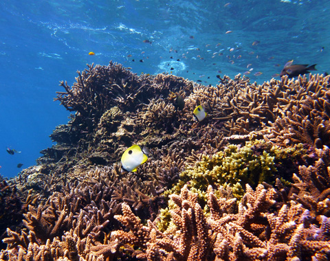 f0014842_1535855.jpg