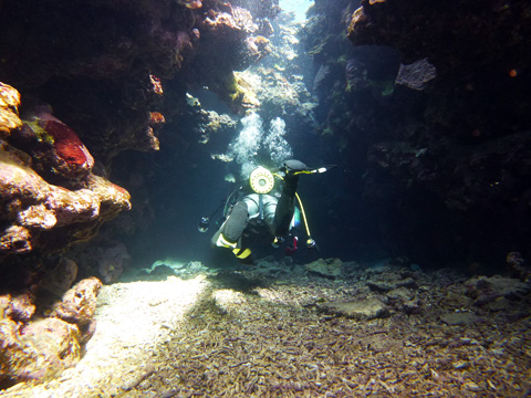 f0014842_1584292.jpg