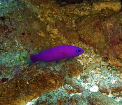 f0014842_1593877.jpg