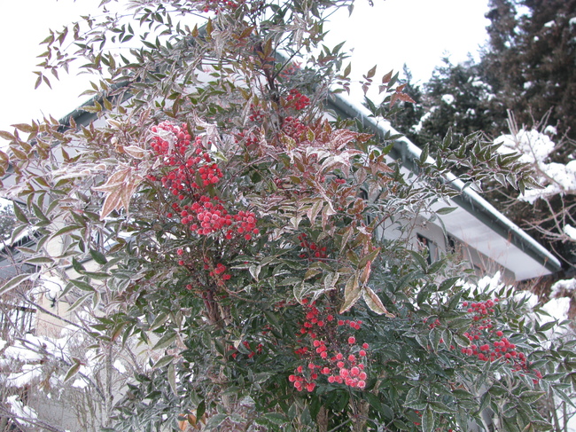 f0151044_1005793.jpg