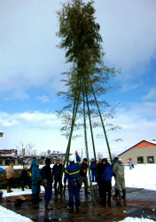 c0026558_16394559.jpg