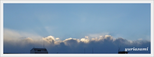 d0145759_12595699.jpg