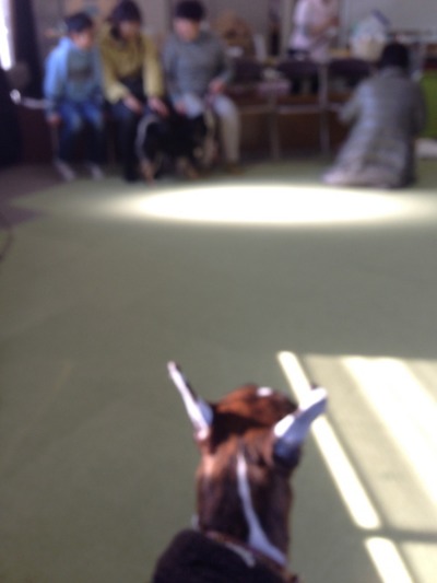 f0177261_17562147.jpg