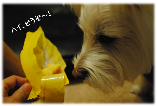 b0242873_01373386.png