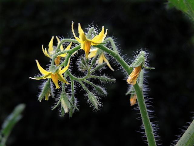 a0044076_1033407.jpg