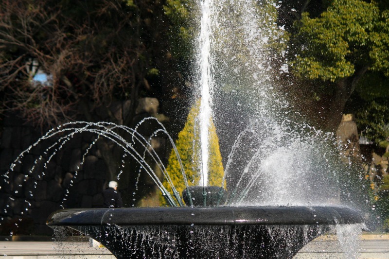 a0127090_18322069.jpg