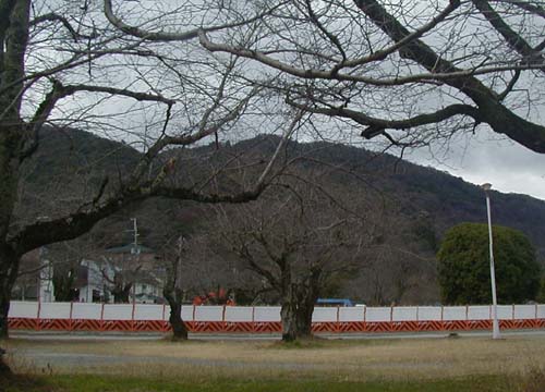 d0053294_038759.jpg