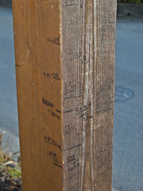 a0199297_1419712.jpg
