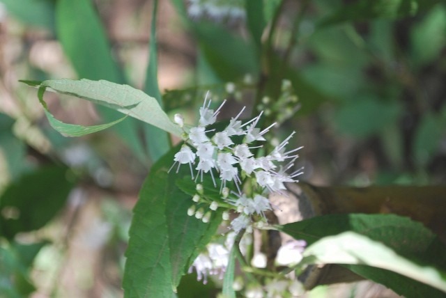 e0025300_21593723.jpg