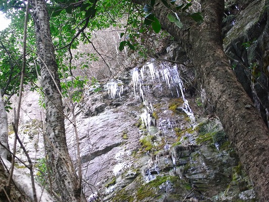 f0187402_18324217.jpg