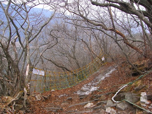 f0187402_1833261.jpg
