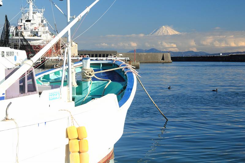 a0188405_10312529.jpg