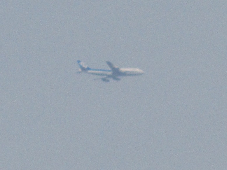 e0118908_17583320.jpg