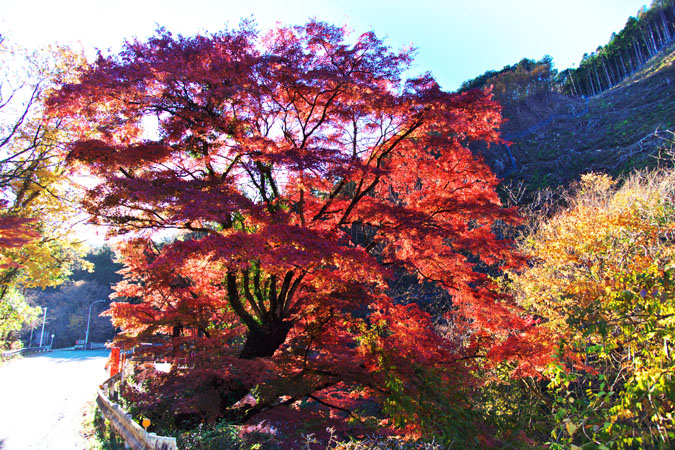 a0263109_20221389.jpg
