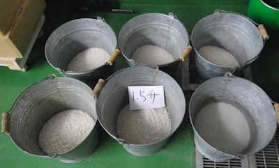 c0209909_8144852.jpg