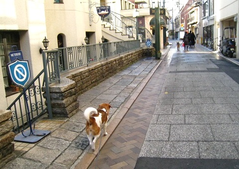 c0084117_2055169.jpg