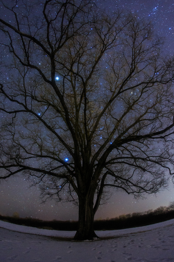 b0243727_84533.jpg