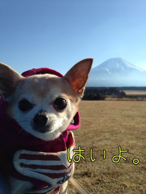 c0298732_20554169.jpg