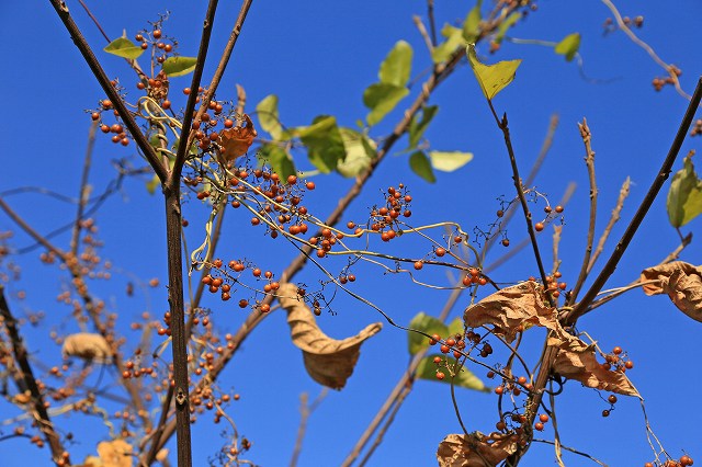 a0242438_18475821.jpg