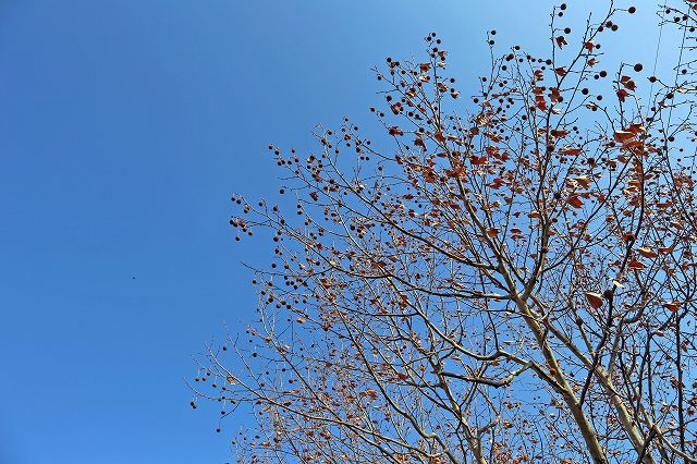 a0242438_18482726.jpg