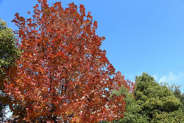 a0242438_18484135.jpg