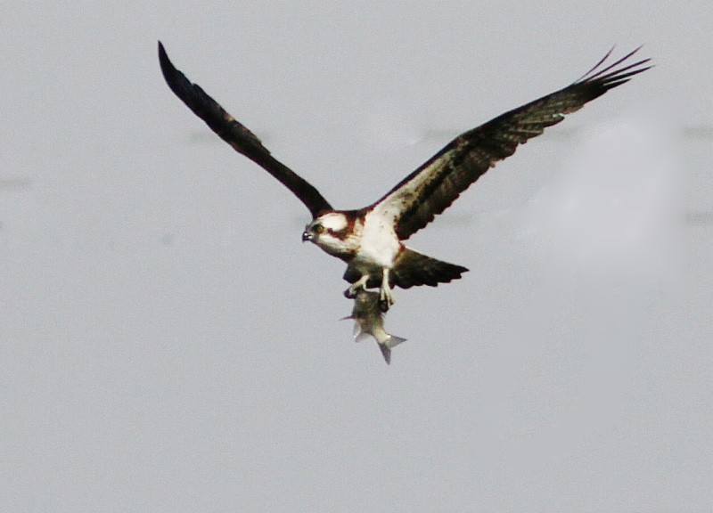 c0172139_1695462.jpg