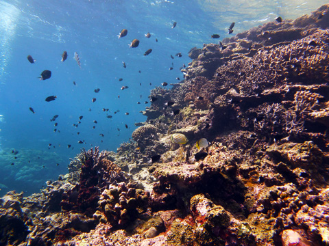 f0014842_17215024.jpg