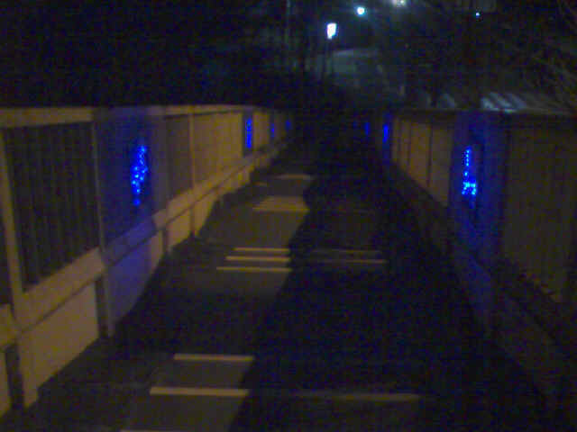 f0153547_16332121.jpg
