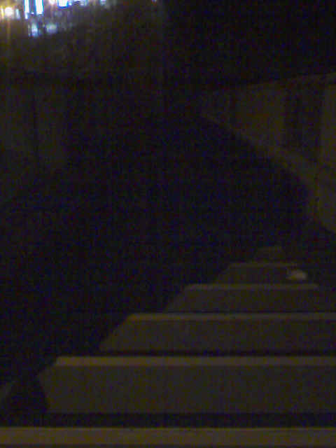 f0153547_1633448.jpg
