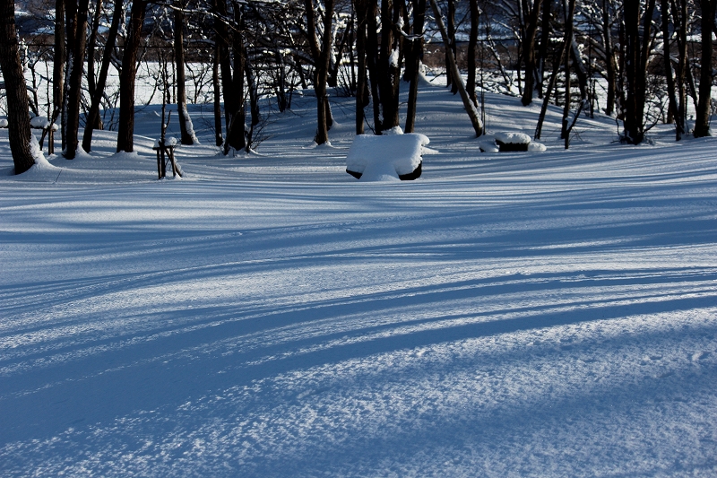 b0250154_2010247.jpg