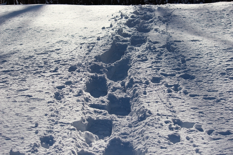 b0250154_20103955.jpg