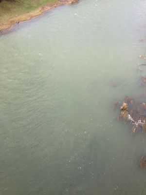 c0325354_1348884.jpg