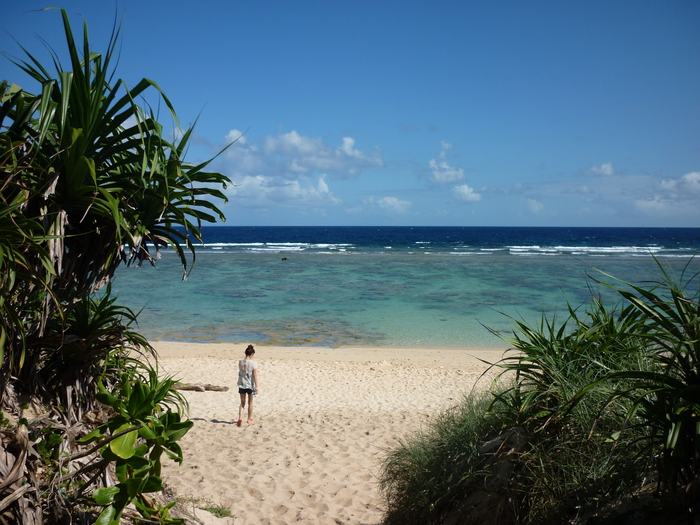 e0198455_111058.jpg