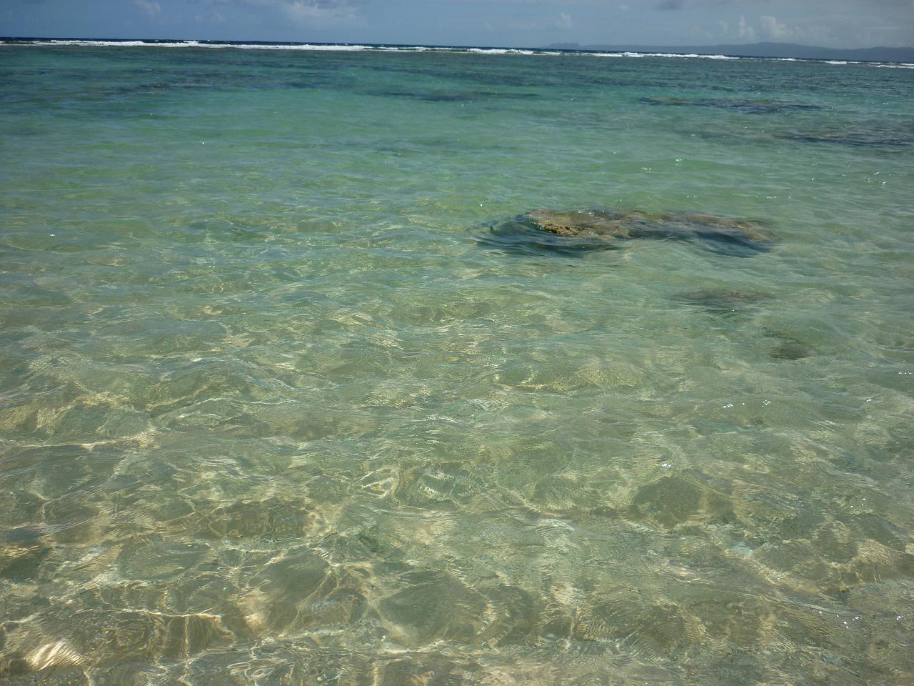 e0198455_1122367.jpg