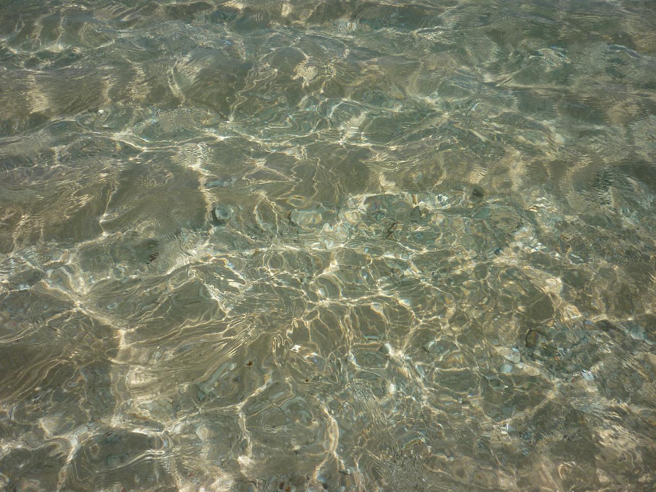 e0198455_113340.jpg