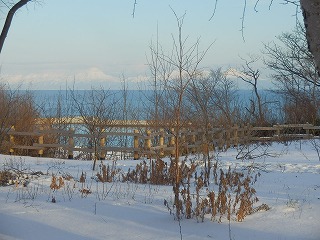 e0004756_21535856.jpg