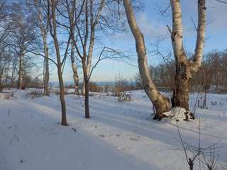 e0004756_21541657.jpg