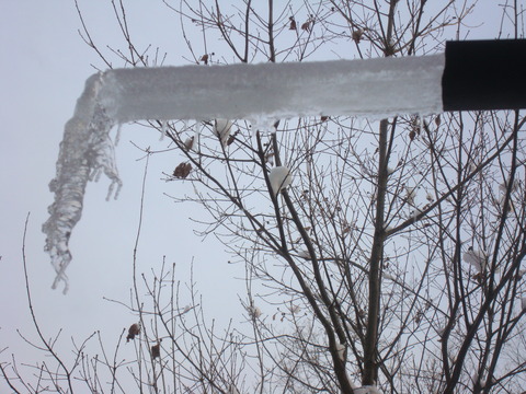 f0198556_22113795.jpg