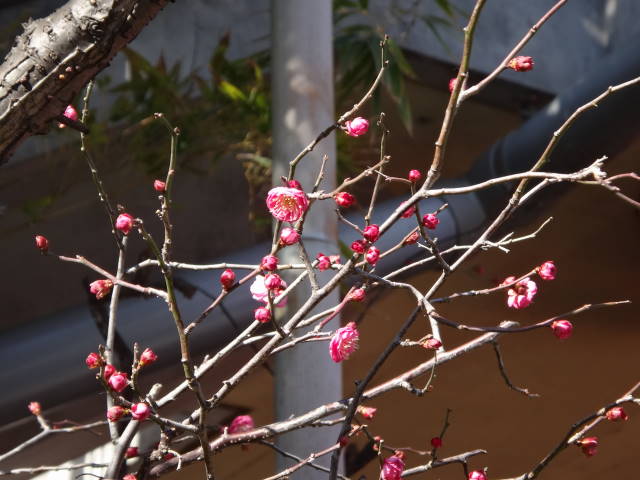 a0113874_19404326.jpg