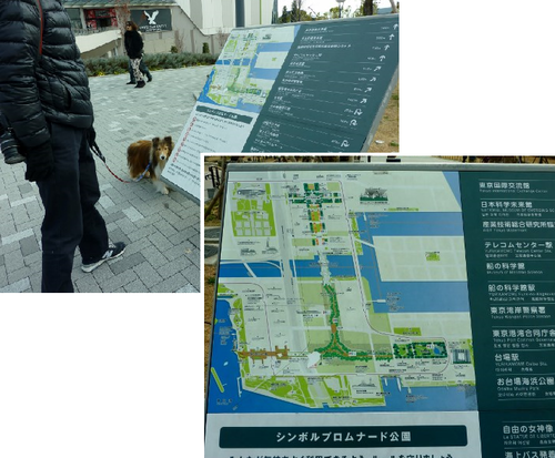a0157174_18553840.png