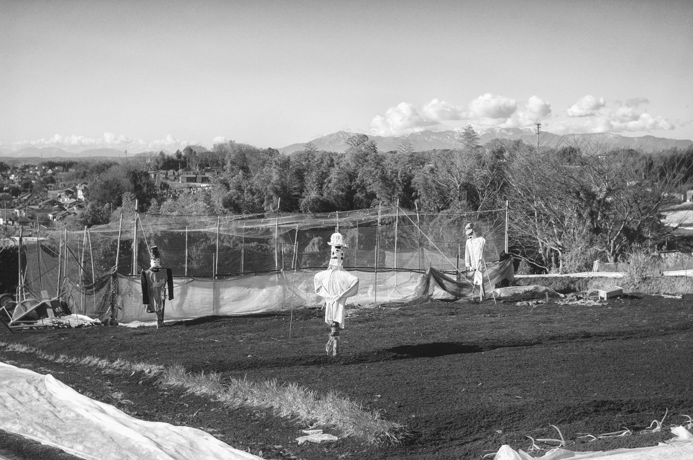 f0167482_2317629.jpg