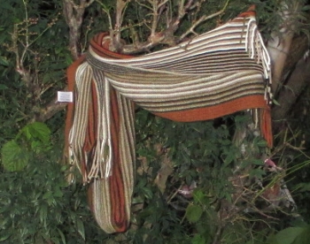 f0003283_18404378.jpg